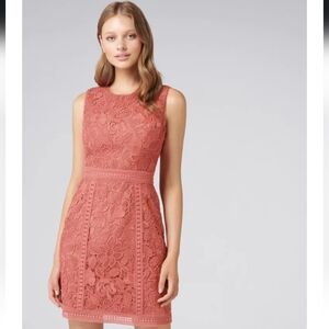 Ever New -Sz 6- Lace Coral Dress